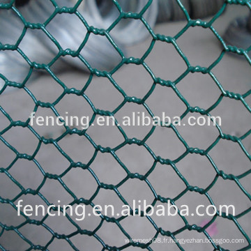 treillis hexagonal enduit de PVC de haute qualité